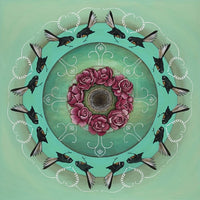 fantail-kaleidoscope