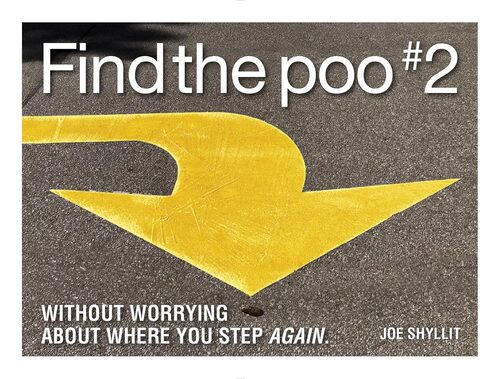 find-the-poo-2