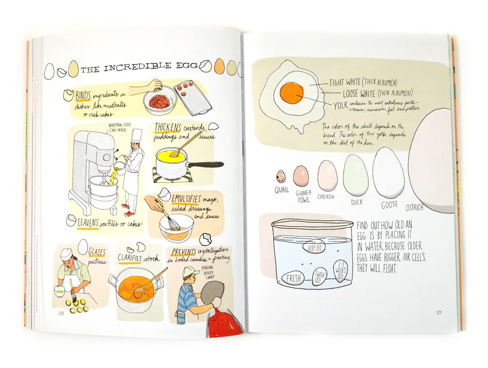 Food Anatomy
