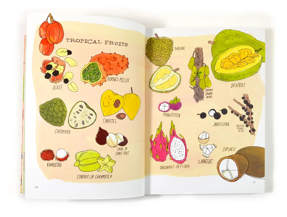 Food Anatomy