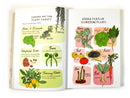 Food Anatomy