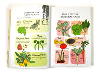 Food Anatomy
