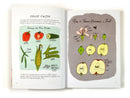 Food Anatomy