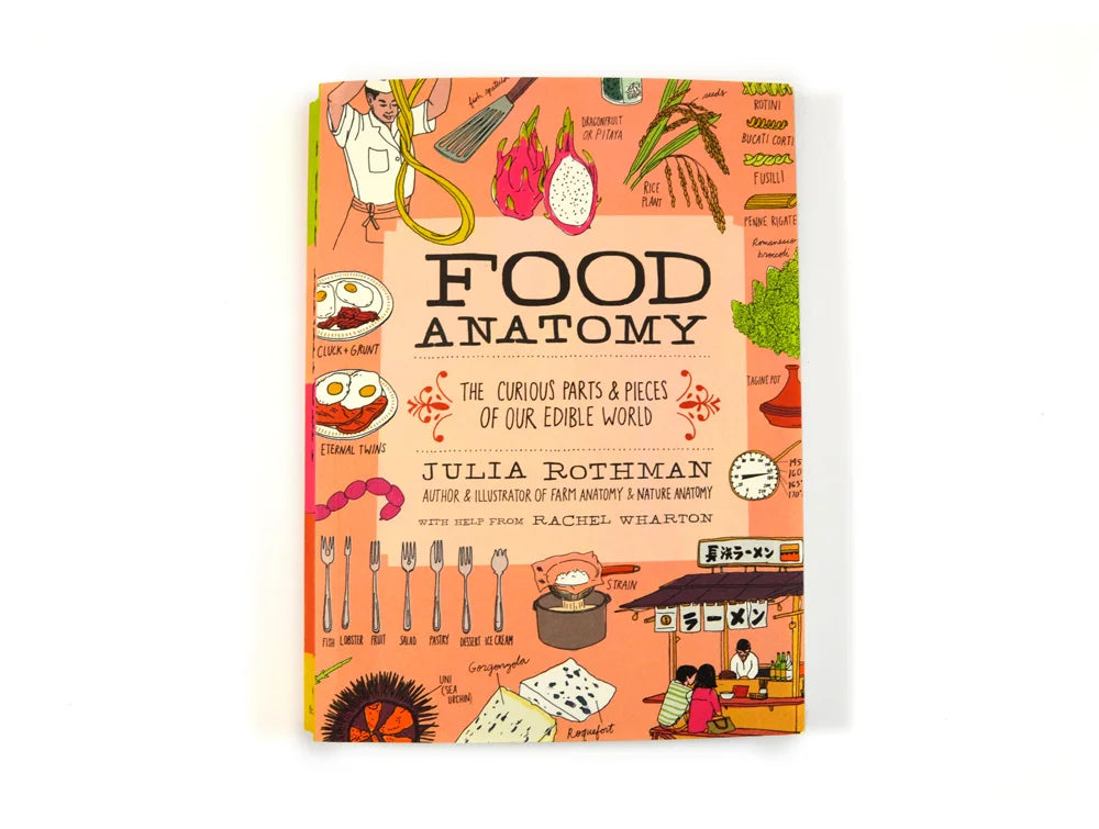 Food Anatomy