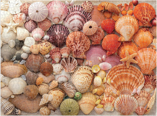 Vibrant Seashells - 1000pc