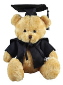Scholar Bear 19cm