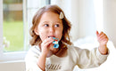 Hape Mini Kazoo