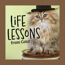 life-lessons-from-cats