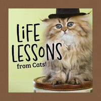 life-lessons-from-cats