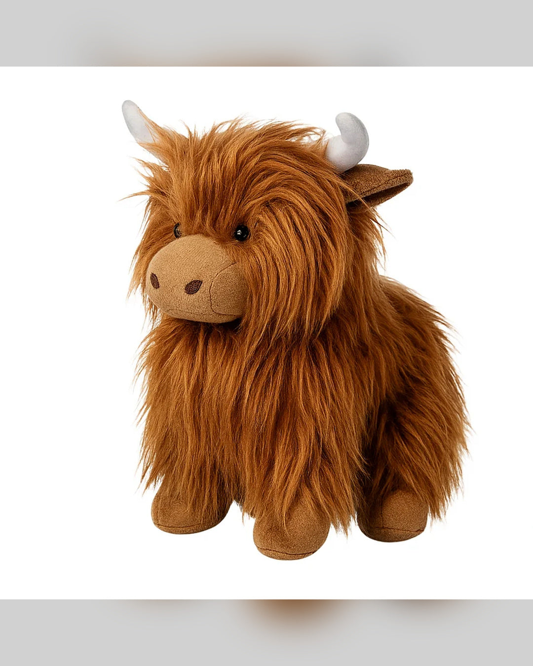 Mac the Highland Cow