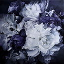 moonlight-whispers-2