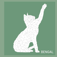 My Sticker Paintings: Cats (10 Amazing Felines)
