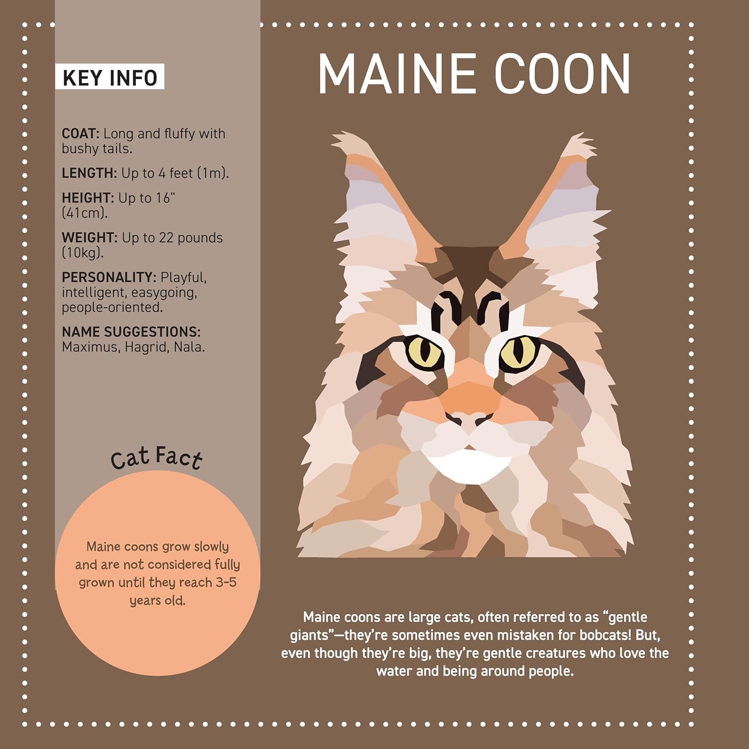 My Sticker Paintings: Cats (10 Amazing Felines)