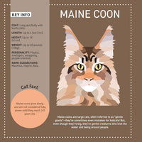 My Sticker Paintings: Cats (10 Amazing Felines)