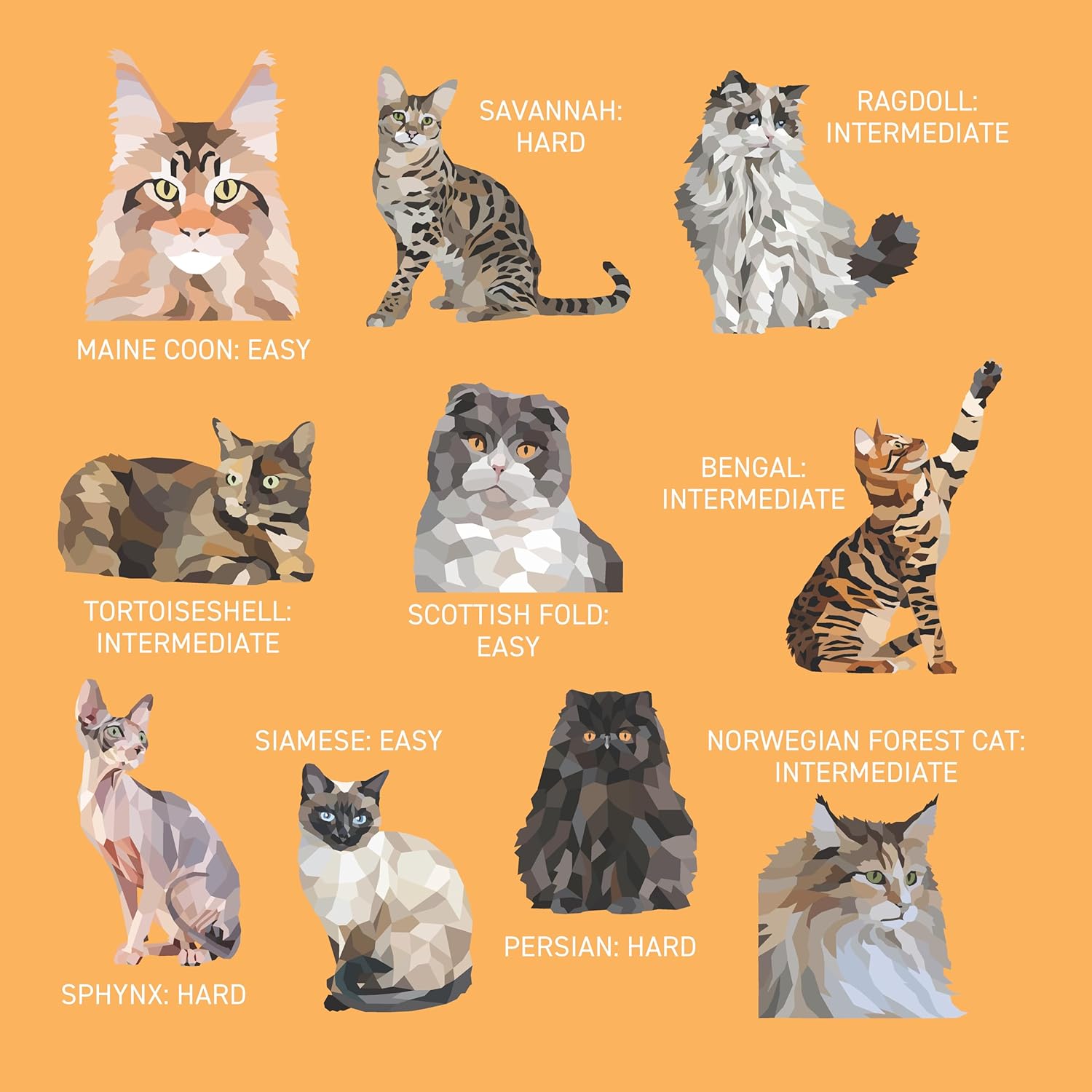 My Sticker Paintings: Cats (10 Amazing Felines)