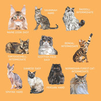 My Sticker Paintings: Cats (10 Amazing Felines)