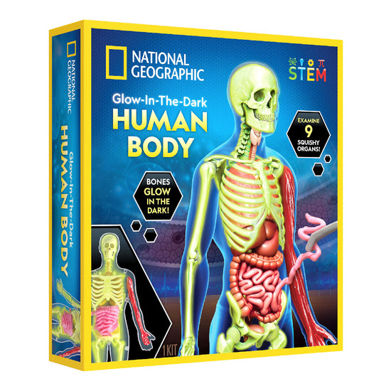 National Geographic Glow-in-the-Dark Human Body Science Kit