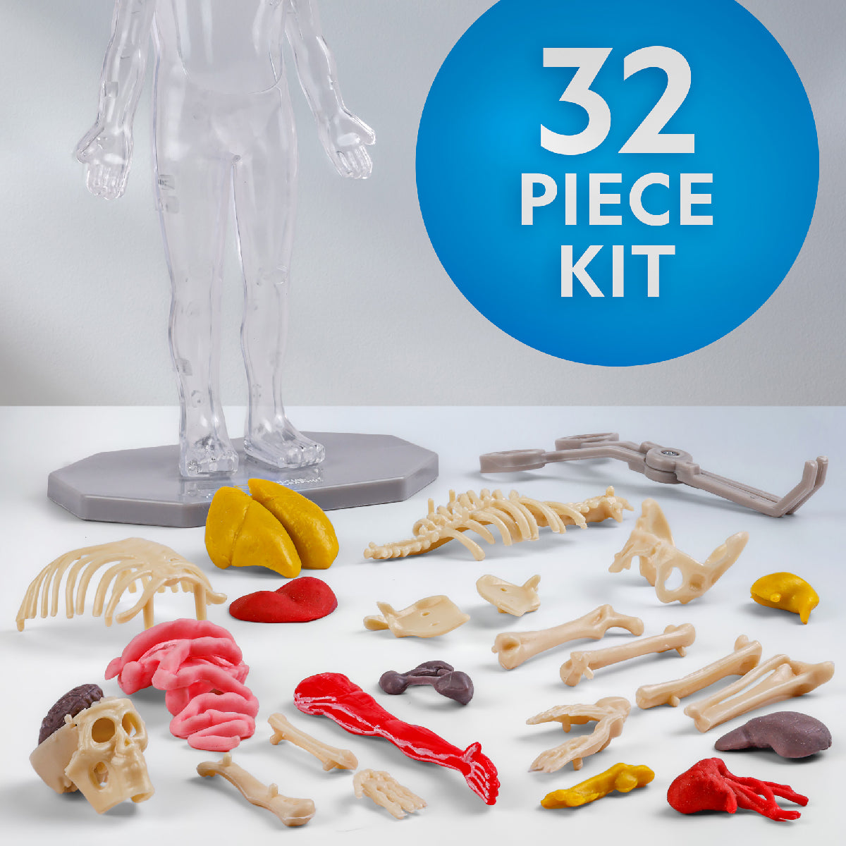 National Geographic Glow-in-the-Dark Human Body Science Kit