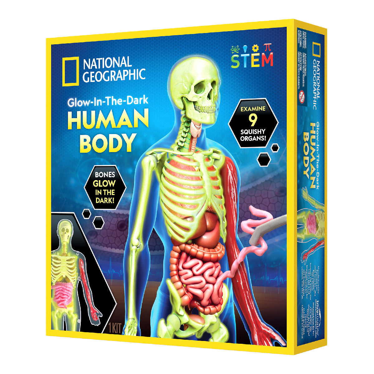 National Geographic Glow-in-the-Dark Human Body Science Kit