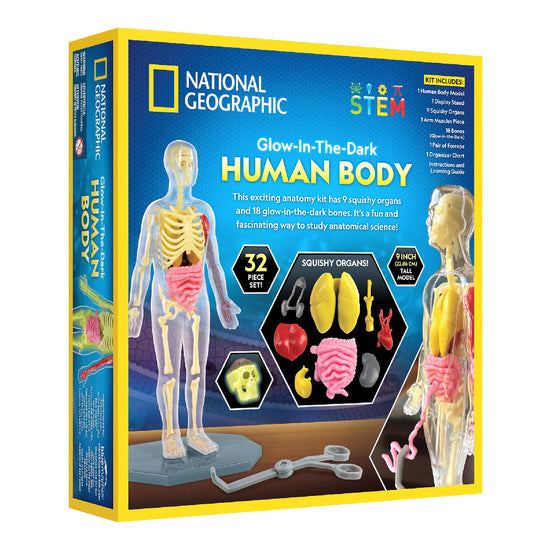 National Geographic Glow-in-the-Dark Human Body Science Kit