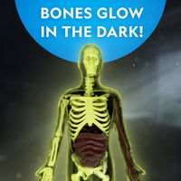 National Geographic Glow-in-the-Dark Human Body Science Kit