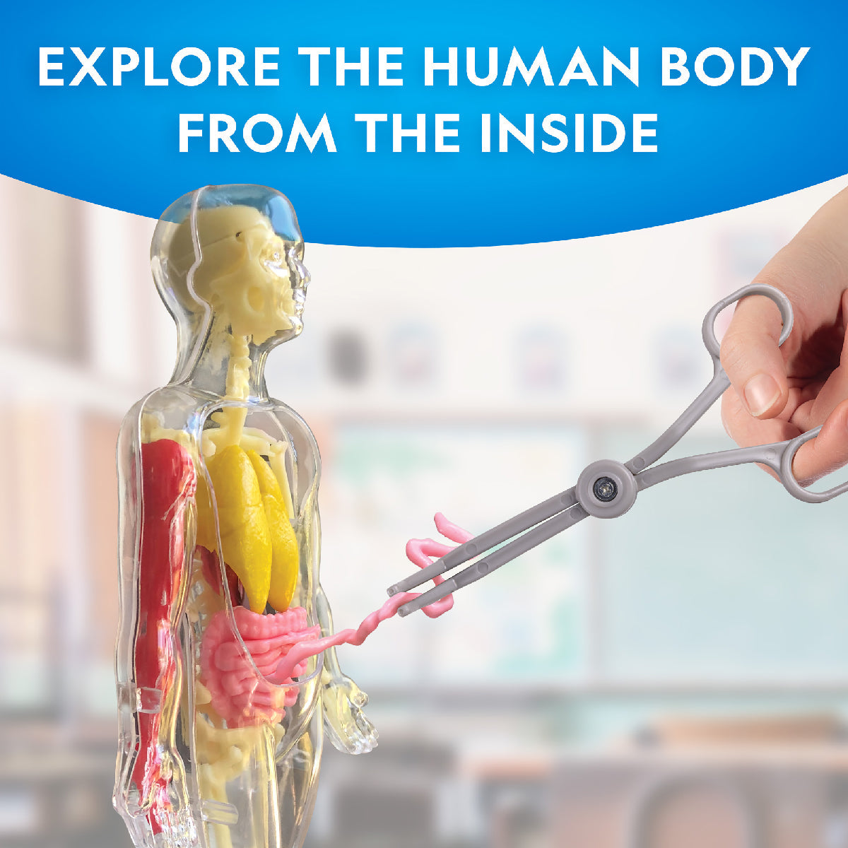 National Geographic Glow-in-the-Dark Human Body Science Kit
