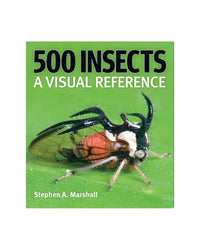 500 Insects by Stephen A. Marshall