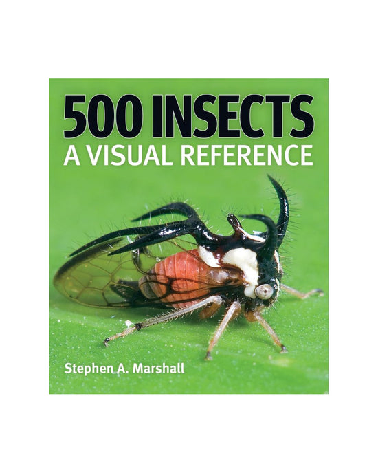 500 Insects