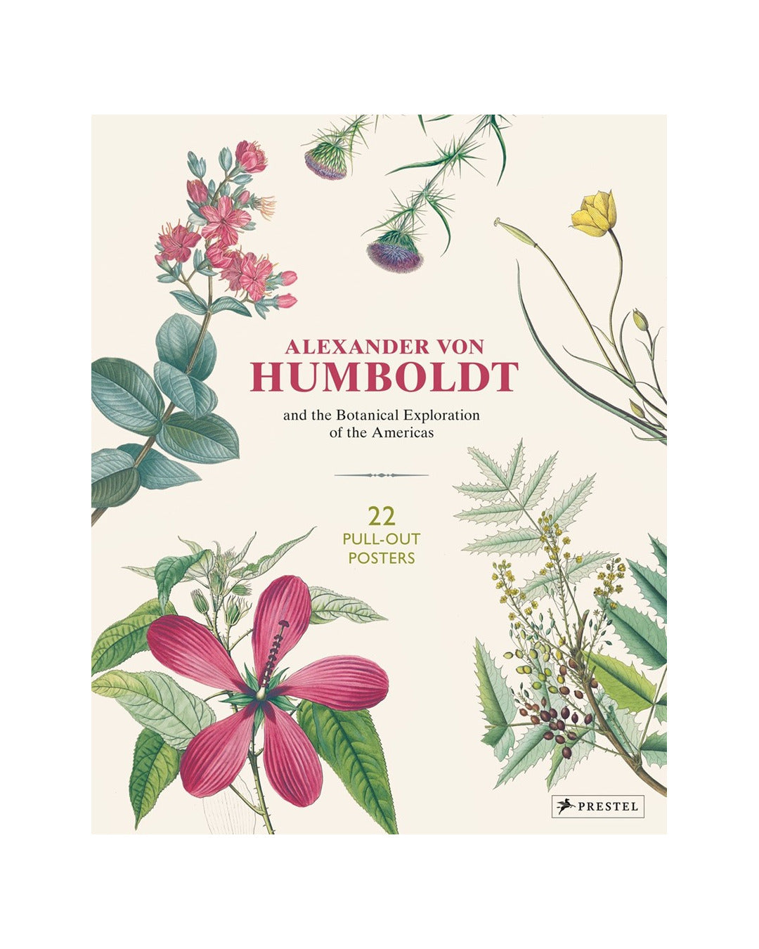 Alexander Von Humboldt Poster by Otfried Baume