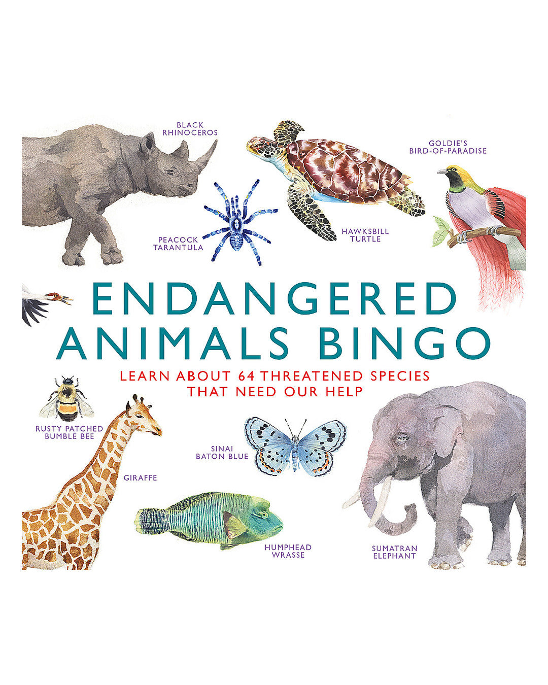 Endangered Animals Bingo