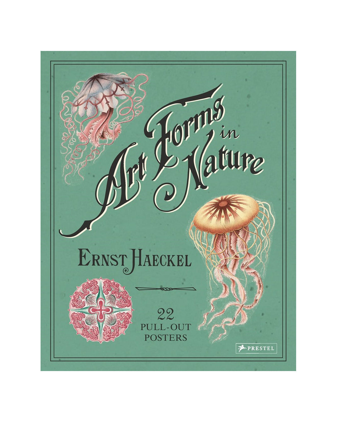 Ernst Haeckel 22 Posters