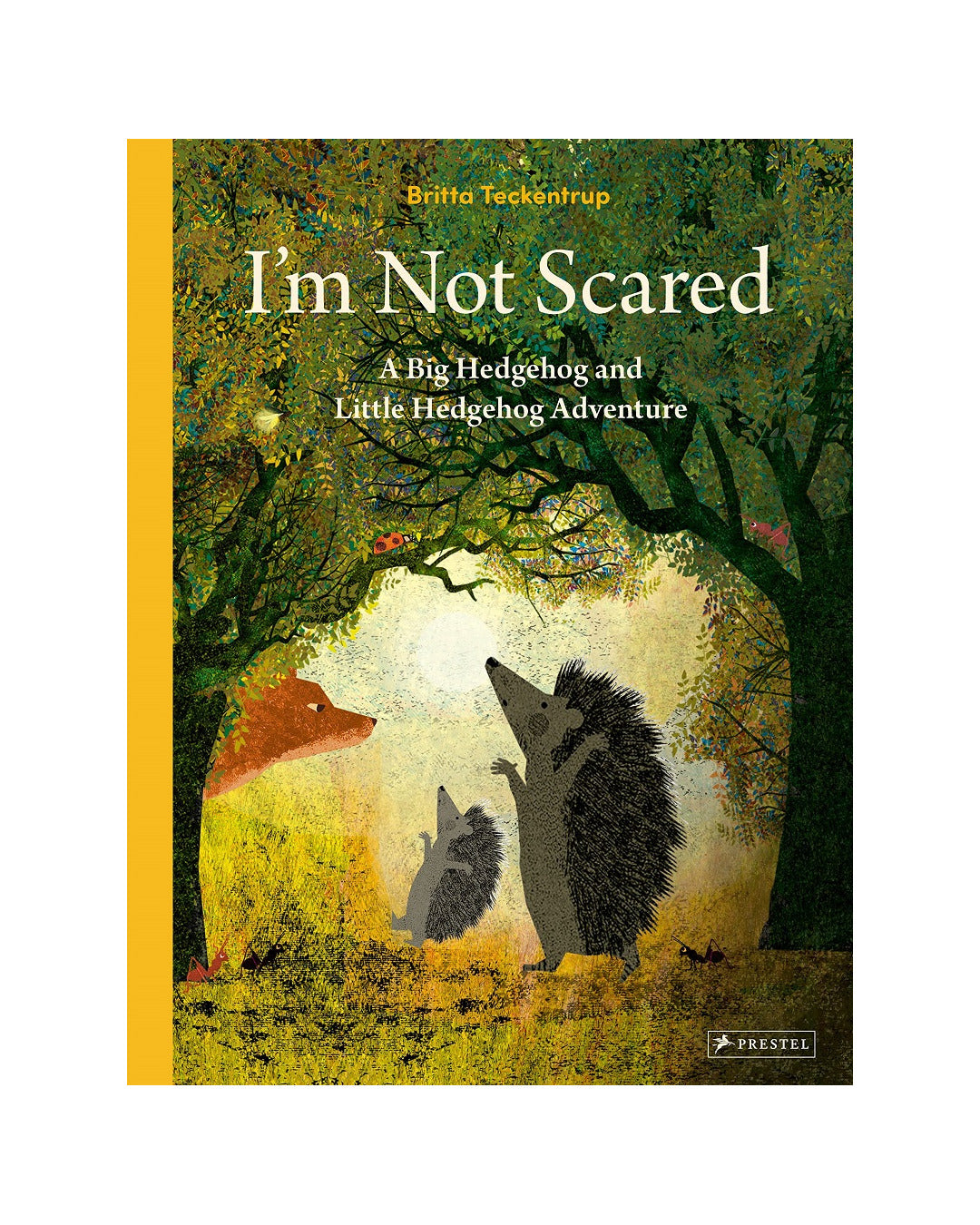 I'm Not Scared by Britta Teckentrup