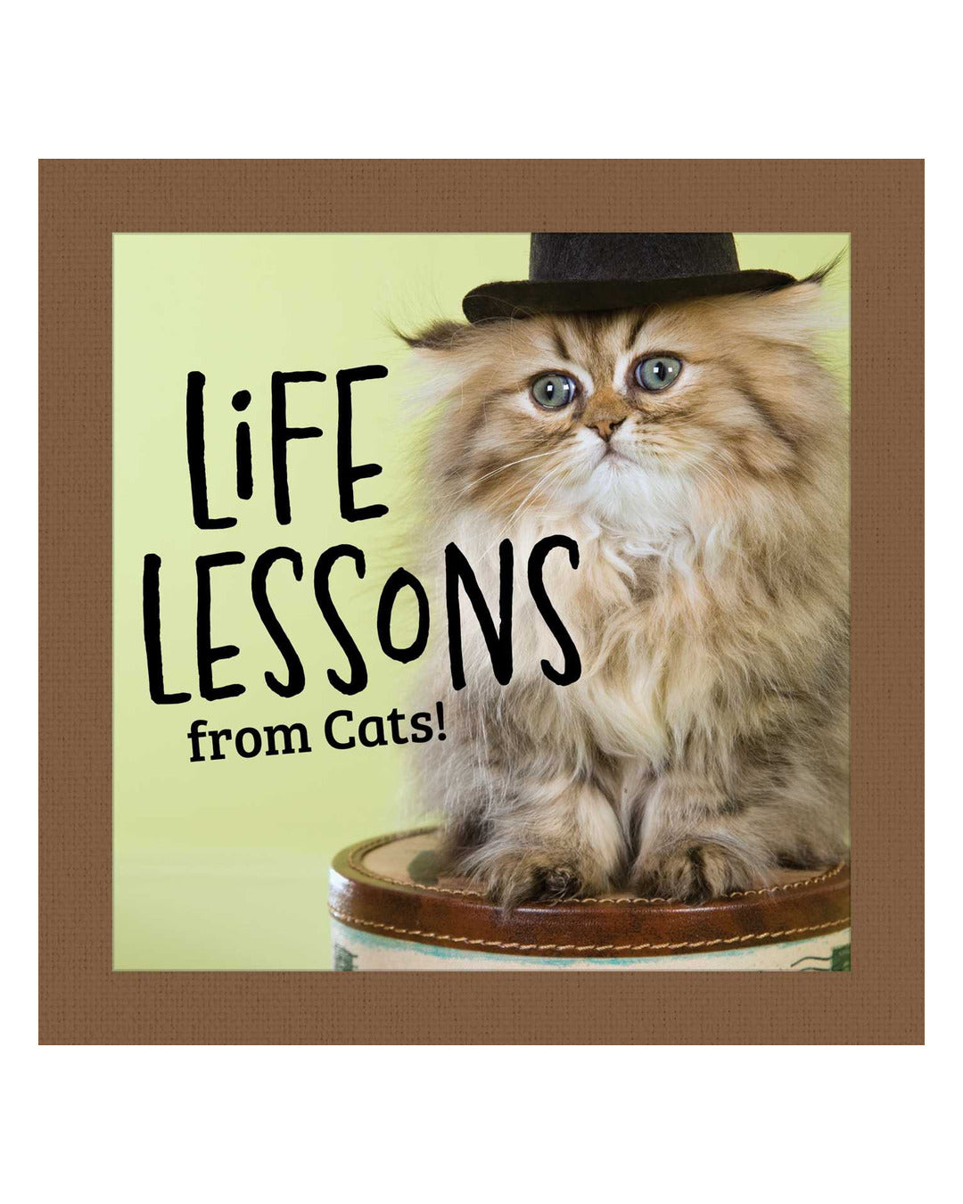 Life Lessons From Cats by Grace Peterson