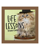 Life Lessons From Cats by Grace Peterson
