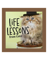 Life Lessons From Cats by Grace Peterson
