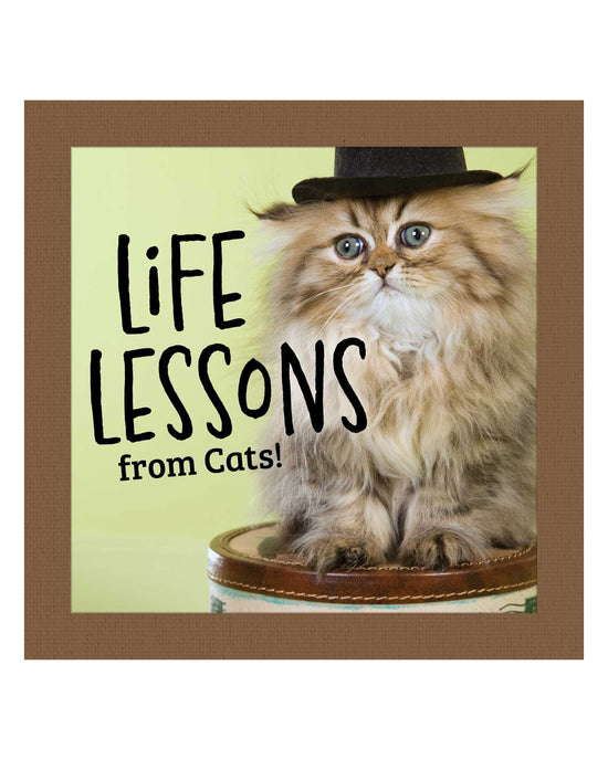Life Lessons From Cats