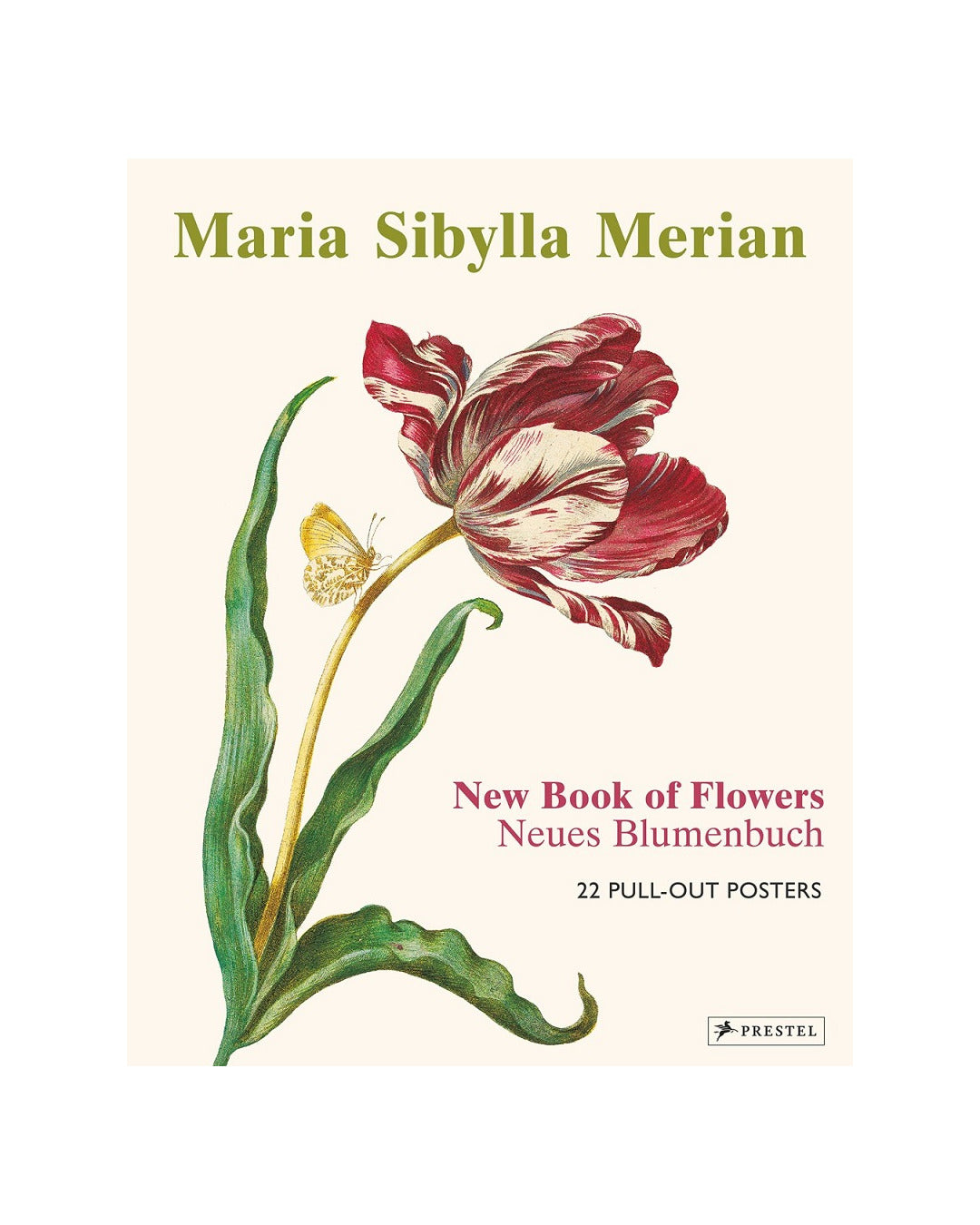 Maria Sibylla Merian Posters by Prestel Publishing