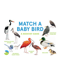 Match a Baby Bird