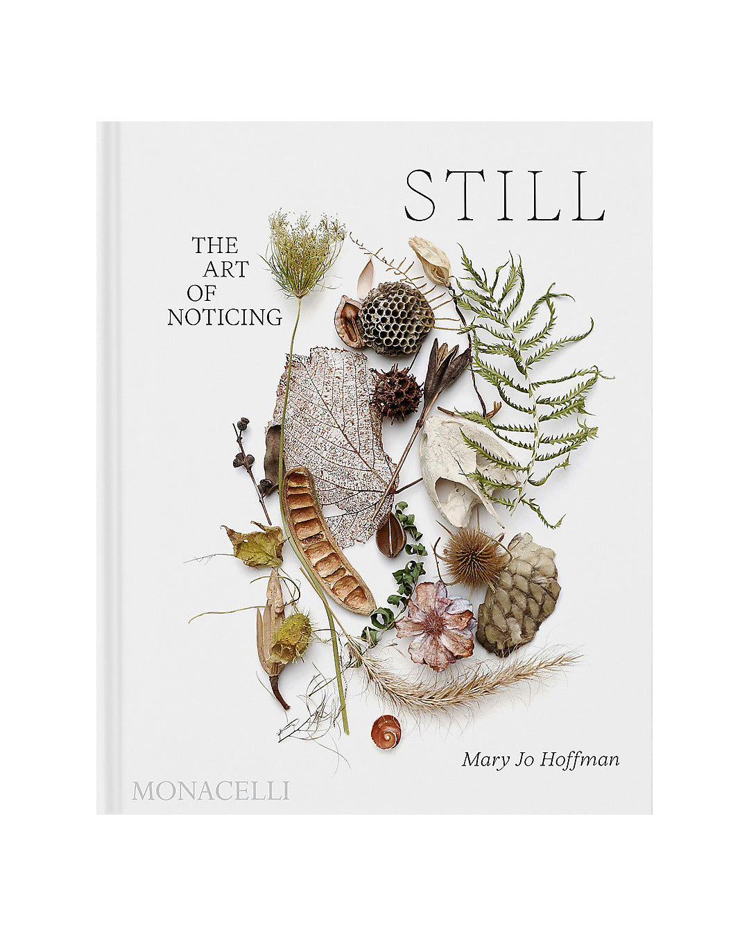 Still: The Art of Noticing by Mary Jo Hoffman