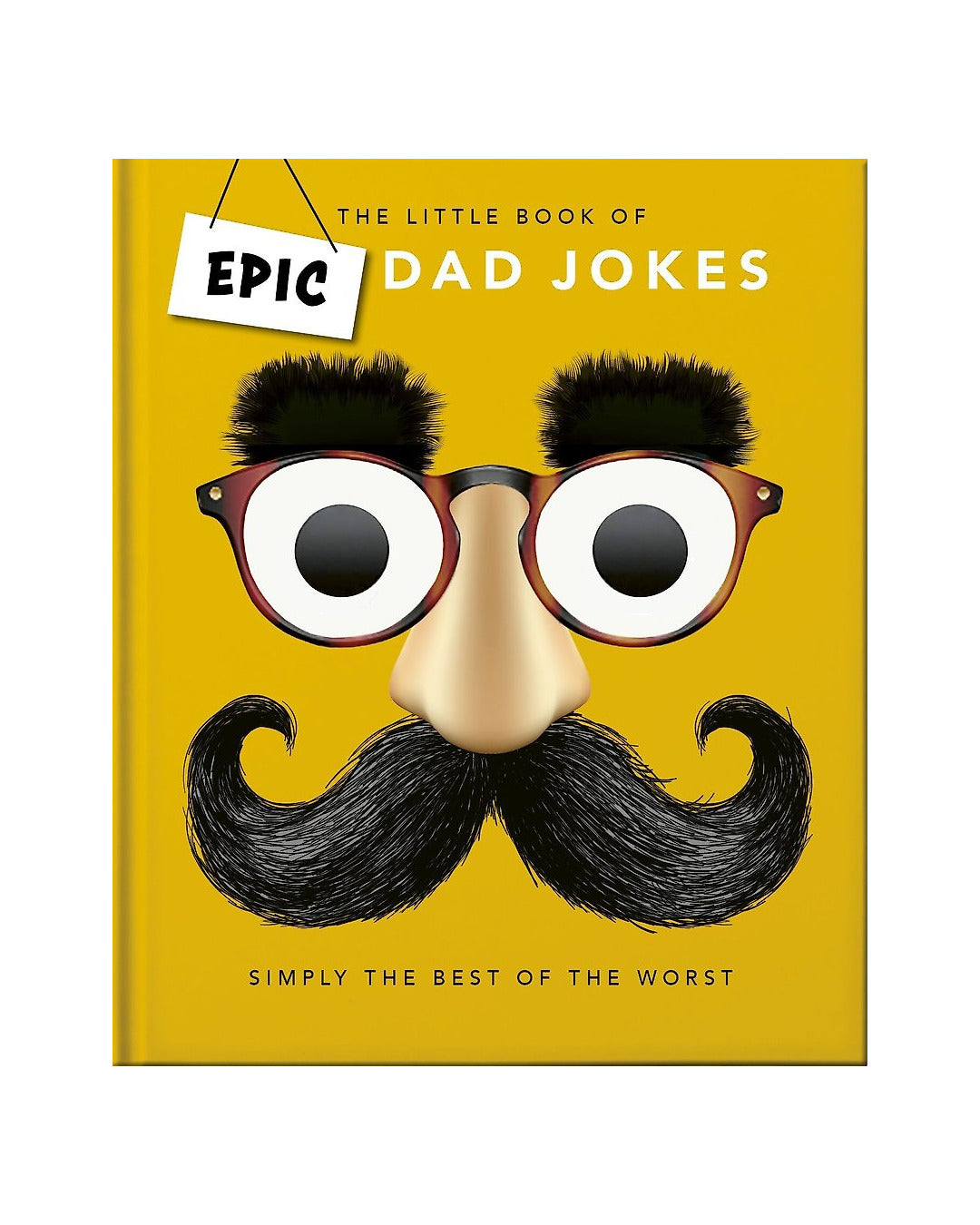 The Little Book of Epic Dad Jokes