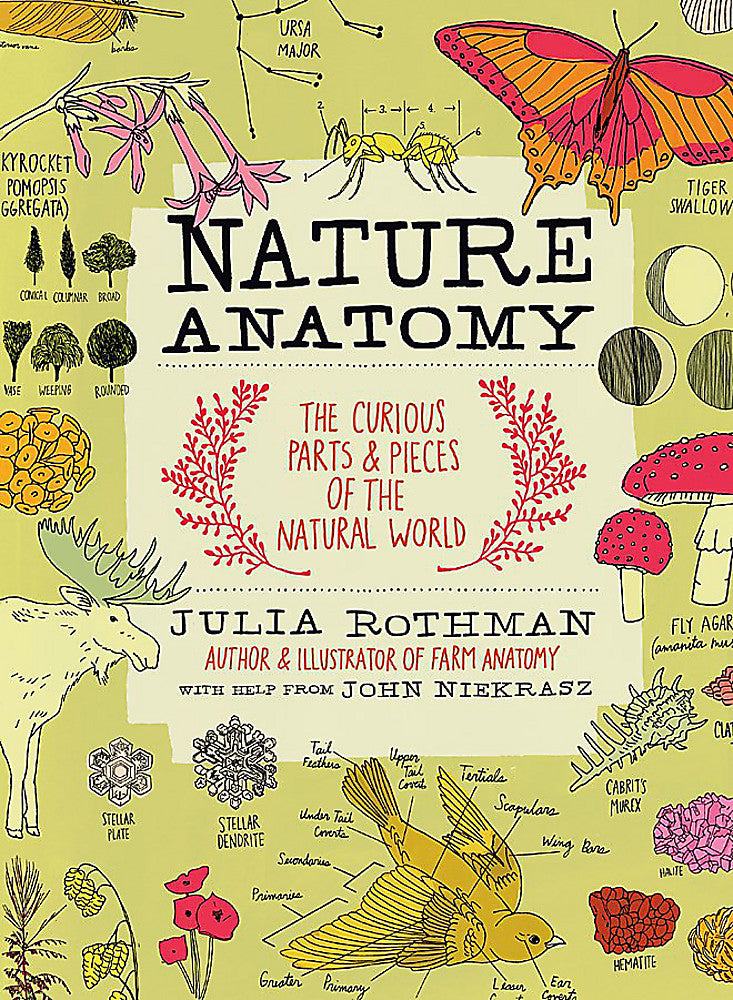 Nature Anatomy by Julia Rothman