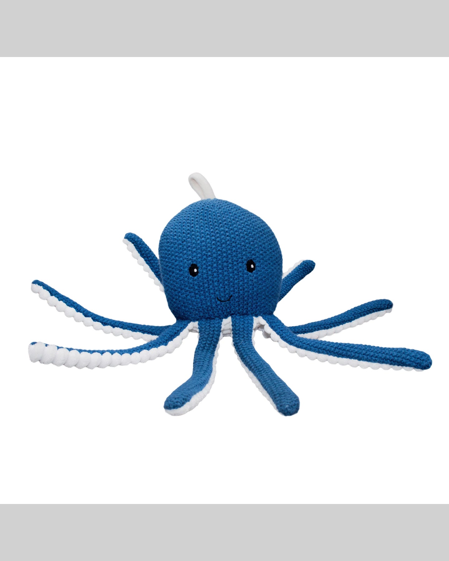 Ocho the Octopus