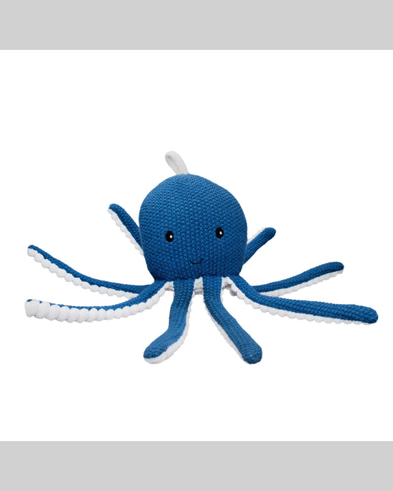 Ocho the Octopus