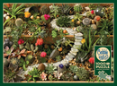SUCCULENT GARDEN, 1000PCS, Compact