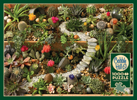 SUCCULENT GARDEN, 1000PCS, Compact