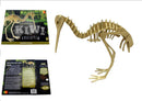 Kiwi Skeleton Wooden Model Kit