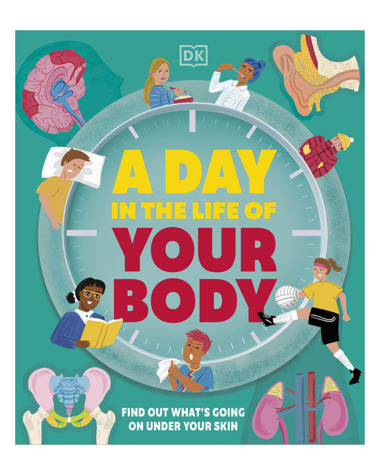 A Day in the Life of Your Body DK