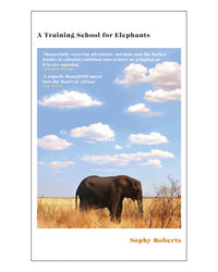 A Training School for Elephants by Sophy Roberts