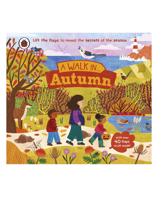A Walk in Autumn