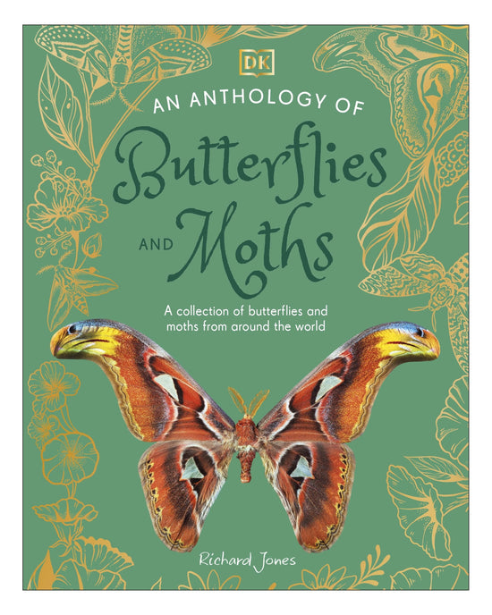 An Anthology of Butterflies and Moths DK